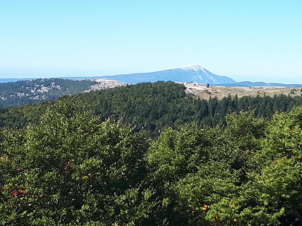 Bed and Breakfast La Maison De Lalouette Forcalquier Exterior foto