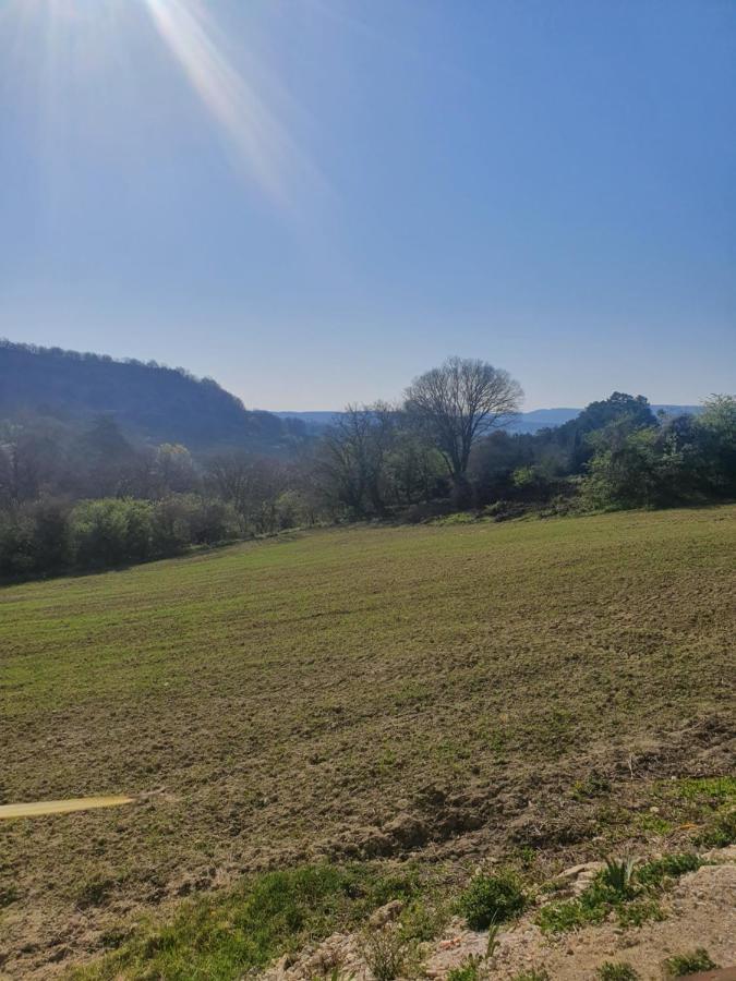 Bed and Breakfast La Maison De Lalouette Forcalquier Exterior foto