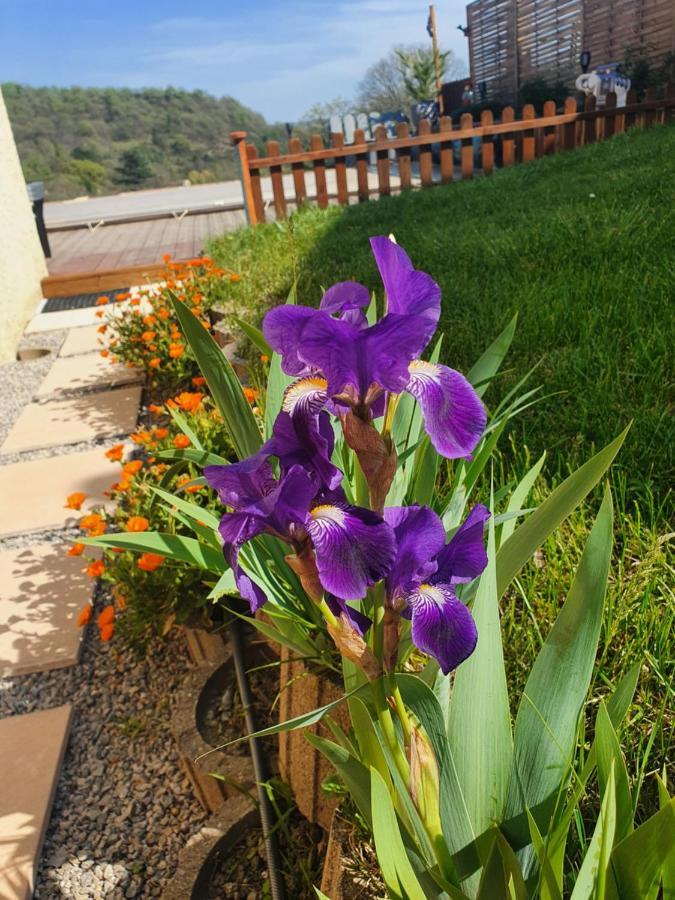 Bed and Breakfast La Maison De Lalouette Forcalquier Exterior foto